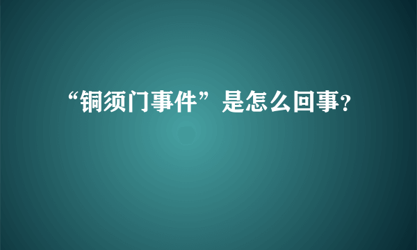 “铜须门事件”是怎么回事？