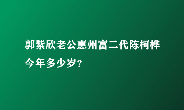 郭紫欣老公惠州富二代陈柯桦今年多少岁？