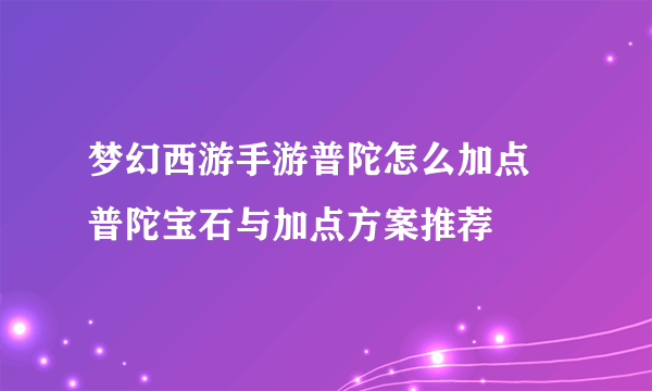 梦幻西游手游普陀怎么加点 普陀宝石与加点方案推荐